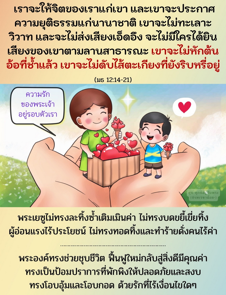 เขาจะไม่หักต้นอ้อที่ช้ำแล้ว เขาจะไม่ดับไส้ตะเกียงที่ยังริบหรี่อยู่ (มธ. 12:14-21)